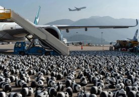 Hongkongda 2,5 ming panda haykallaridan iborat ko‘rgazma o‘tkazilmoqda фото