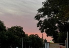 Ўзбекистон аҳолиси 27-ноябр куни илиқ ва қуруқ об-ҳаводан