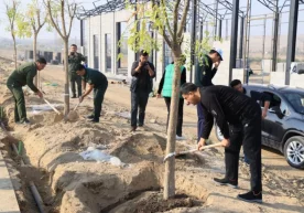 Фарғонада «Яшил макон» умумхалқ лойиҳасининг навбатдаги