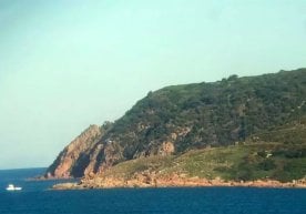 Селфи сабаб баланд қоядан қулаган қиз тирик қолди фото