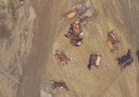 Қозоғистоннинг Манғистов туманида кузатилган кучли