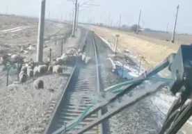 Фото: Видеодан кадр Ижтимоий тармоқларда “Афросиёб”