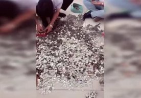 Хитойнинг Цанчжоу шаҳрида бир аёл янги машина хариди учун