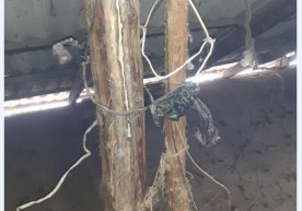 Мажбурий ижро бюросининг Наманган вилоят бошқармаси, шаҳар