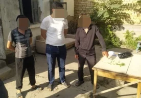 Сирдарёда томорқасида 1 туп наша етиштирган эркак қўлга олинди фото
