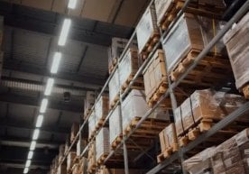 NF Group маълумотларига кўра, Ўзбекистон юқори сифатли