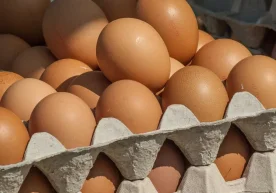 Қозоғистон 11-декабрдан бошлаб, четдан товуқ тухумларини