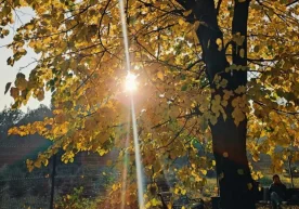 Эртага мамлакатнинг деярли барча ҳудудларида ҳаво