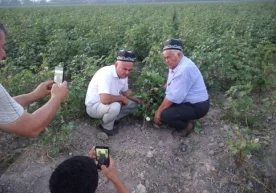 Фото: Андижон вилояти қишлоқ хўжалиги бошқармаси Андижон