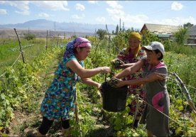 Karantin uzoq davom etsa qishloqni qanday qutqaramiz? фото