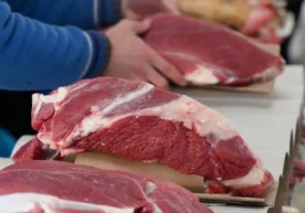 Давлат статистика қўмитаси бозорлардаги нарх-наво