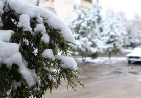 Qishning ilk haftasida mamlakat bo‘ylab havo o‘ziga xos