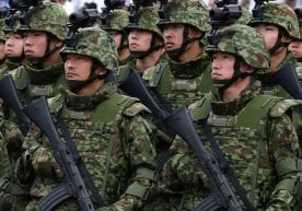 Япониянинг шимолий ҳудудларида айиқларнинг ҳужумлари