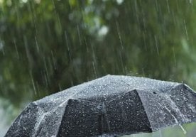 10 март куни Ўзбекистоннинг кўплаб ҳудудларида ҳаво кескин