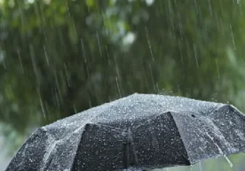 10 март куни Ўзбекистоннинг кўплаб ҳудудларида ҳаво кескин