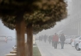 Тошкент шаҳри ва вилоятида ҳаво ҳарорати пасайиши ортидан