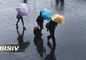 27 октябрь, душанба куни Ўзбекистоннинг кўп ҳудудларида