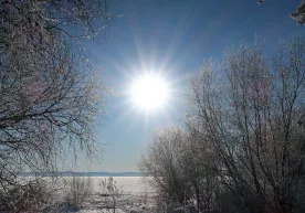 Ўзбекистонда дам олиш кунларида ҳаво асосан қуруқ ва ёрқин