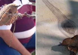 Кеча, 10 июнь куни Instagram ижтимоий тармоғидаги