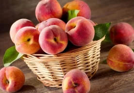 Юртимизда пишиб етилган мева-сабзавотлар инсон организми