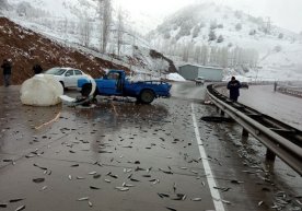 Qamchiq dovonidagi «baliq yomg‘iri». Hodisa yuzasidan rasmiy ma’lumot berildi фото