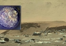 NASA ва Лондон Империал коллежи олимлари Марс юзасида