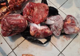 Фото: Санитария-эпидемиология хизмати Тошкентдаги «Эски