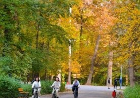 2026 йилнинг 1 апрелидан бошлаб Тошкент Ботаника боғи