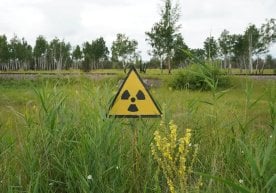 Ўзбекистон уран захиралари бўйича МДҲ давлатлари орасида