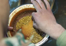 Олтин изловчилар усулида фаолиятни амалга оширишга 283 та