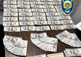 Toshkentda AQSHga ishga yuborish evaziga 51 ming dollar olgan shaxslar ushlandi фото