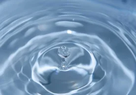 Ўзбекистон сув ва саломатлик масалаларига оид БМТ