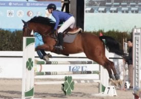 Пойтахтдаги “Universal Horses Stable” мажмуасида конкур