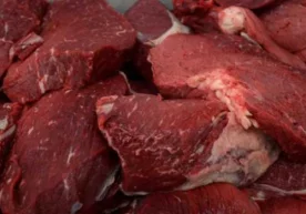 Улар Тошкент бозорларида худди шундай сифатсиз, айниган,