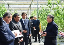 Шавкат Мирзиёев Оқдарё туманига ташриф буюриб, “Даромад