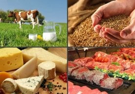 “Numbeo” платформаси маълумотларига кўра, Марказий Осиё