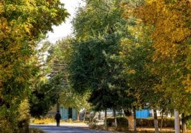 Ўзгидромет 24–27 ноябрь орасида юртимизда қайд этиладиган