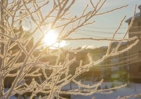 13‑январ куни Ўзбекистон бўйлаб об‑ҳаво кўпроқ оғир тундан