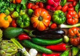 Қиролича Мария номидаги Лондон университети олимлари