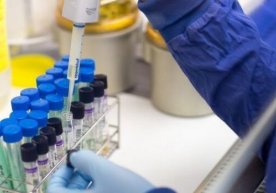 Qirg‘iziston hukumati apparatining 26 nafar xodimida