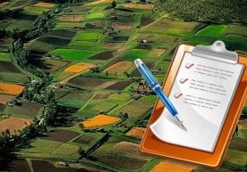 Вазирлар Маҳкамаси қарори билан электрон аукционлар орқали