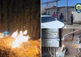 Фото: Иқтисодий жиноятларга қарши курашиш департаменти