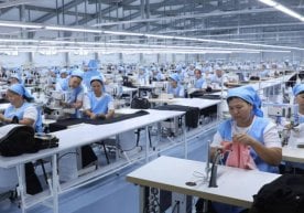 Миллий статистика қўмитаси маълумотларига кўра, 2025-йил