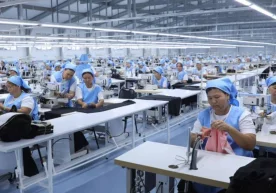 Миллий статистика қўмитаси маълумотларига кўра, 2025-йил