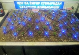Боғдорчилик ва гулчилик асослари сайтида хабар қилинишича,