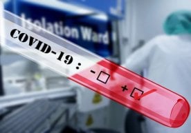 Bu safar koronavirus yuqtirganlarning barchasi Toshkentda qayd etildi фото