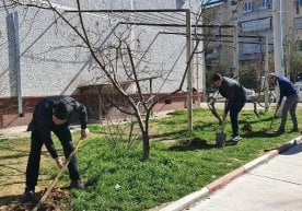 Ўзбекистонда экологик маданиятни ривожлантириш ва ёшларни