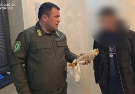 A citizen who illegally kept a rare bird was caught in Ferghana фото