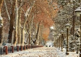 Ўзгидромет бугун, 27 декабрь куни республика ҳудудларида