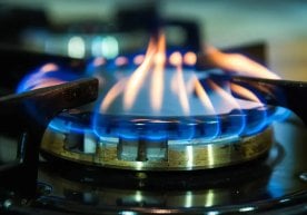 Бугун Тошкент шаҳрининг Яккасарой ва Сергели туманларидаги
